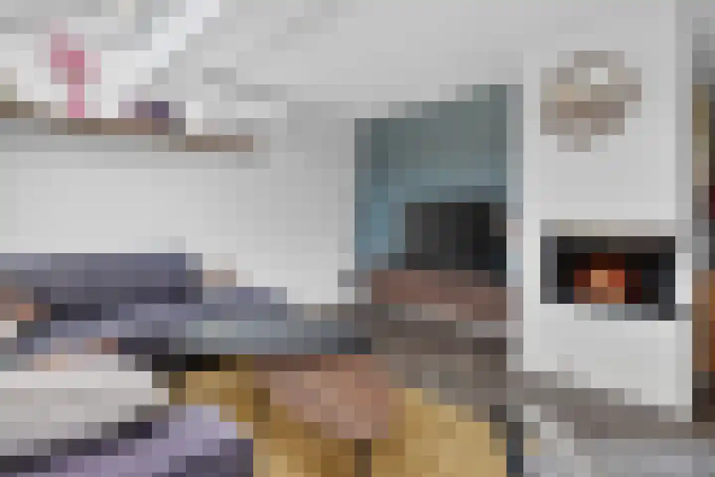 Twickel 9 Raalte thumbnail 12
