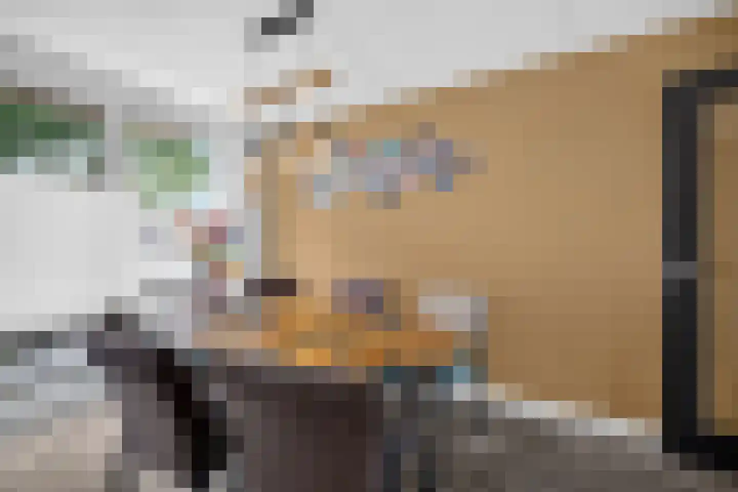 Twickel 9 Raalte thumbnail 18