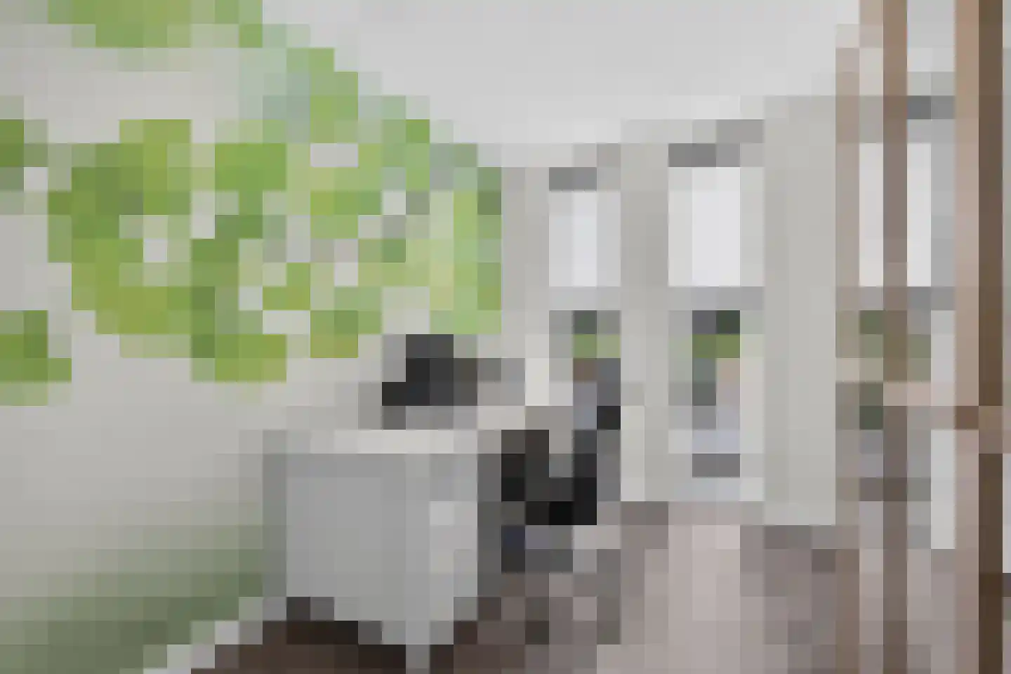 Twickel 9 Raalte thumbnail 19