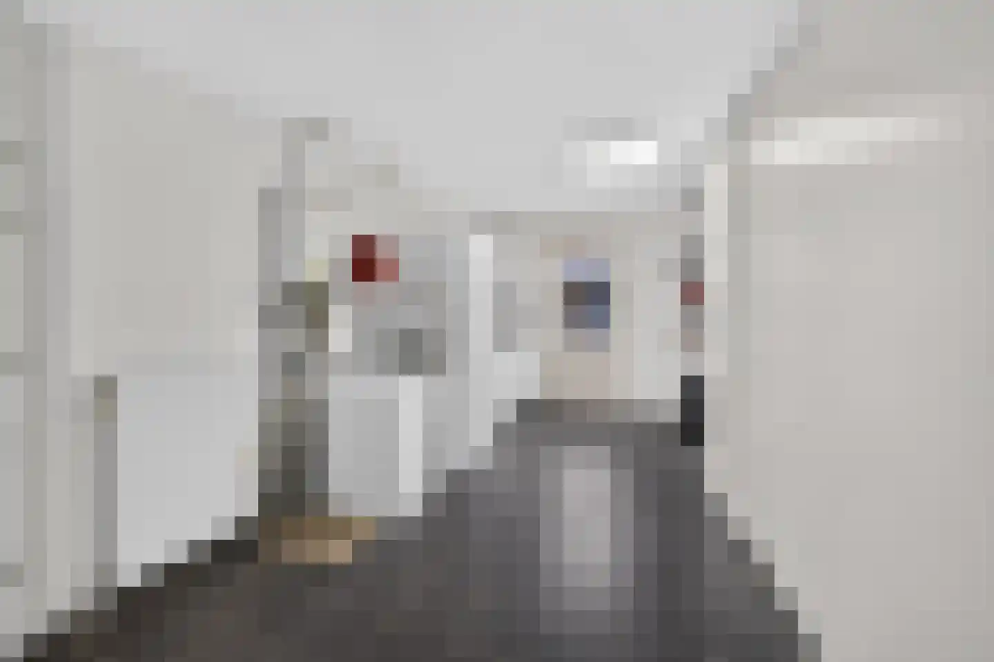 Twickel 9 Raalte thumbnail 21