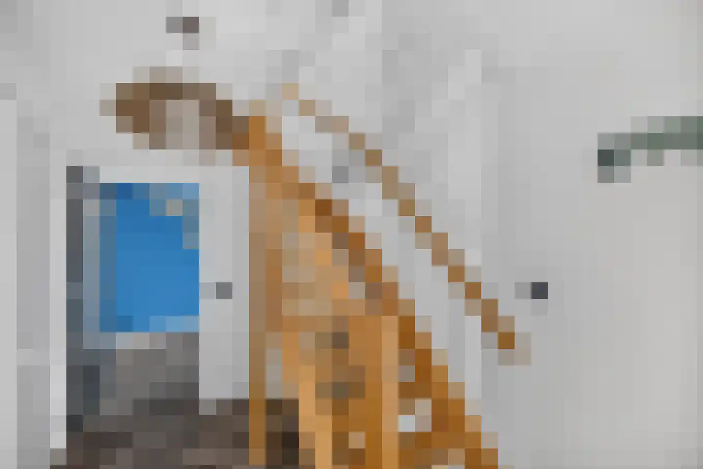 Twickel 9 Raalte thumbnail 23