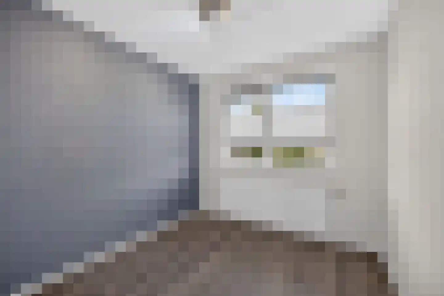 Twickel 9 Raalte thumbnail 27