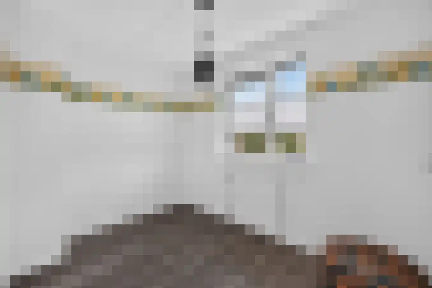 Twickel 9 Raalte thumbnail 29