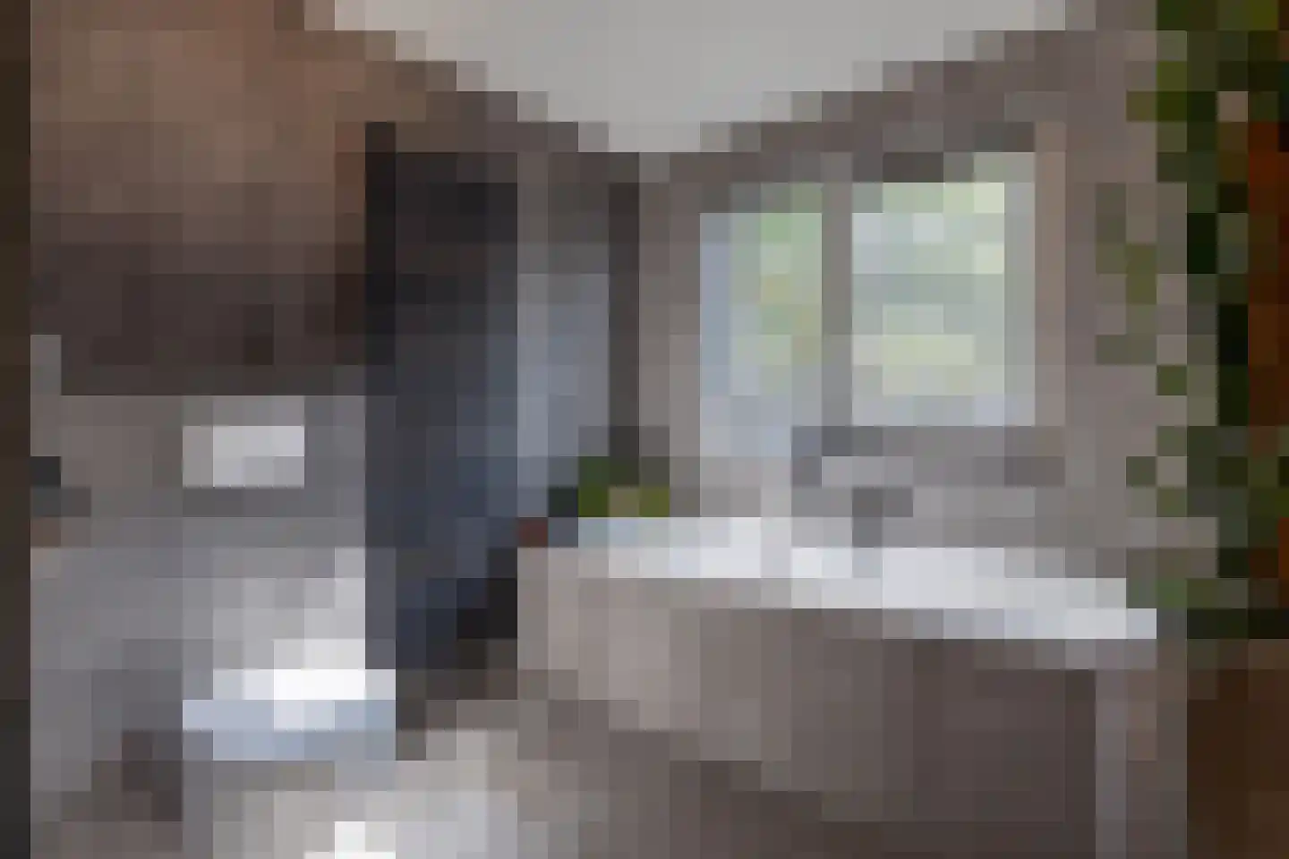 Twickel 9 Raalte thumbnail 30