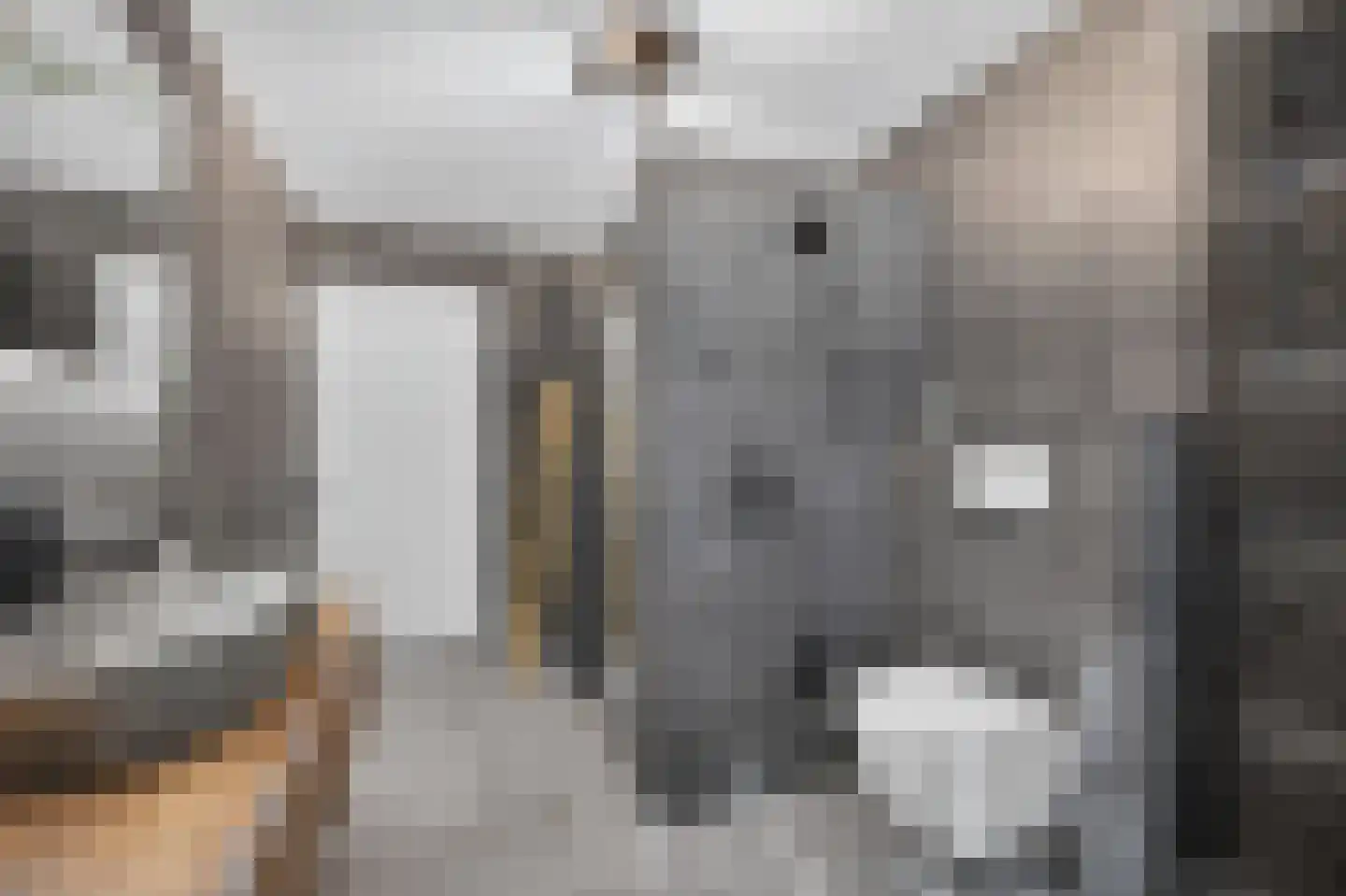 Twickel 9 Raalte thumbnail 32