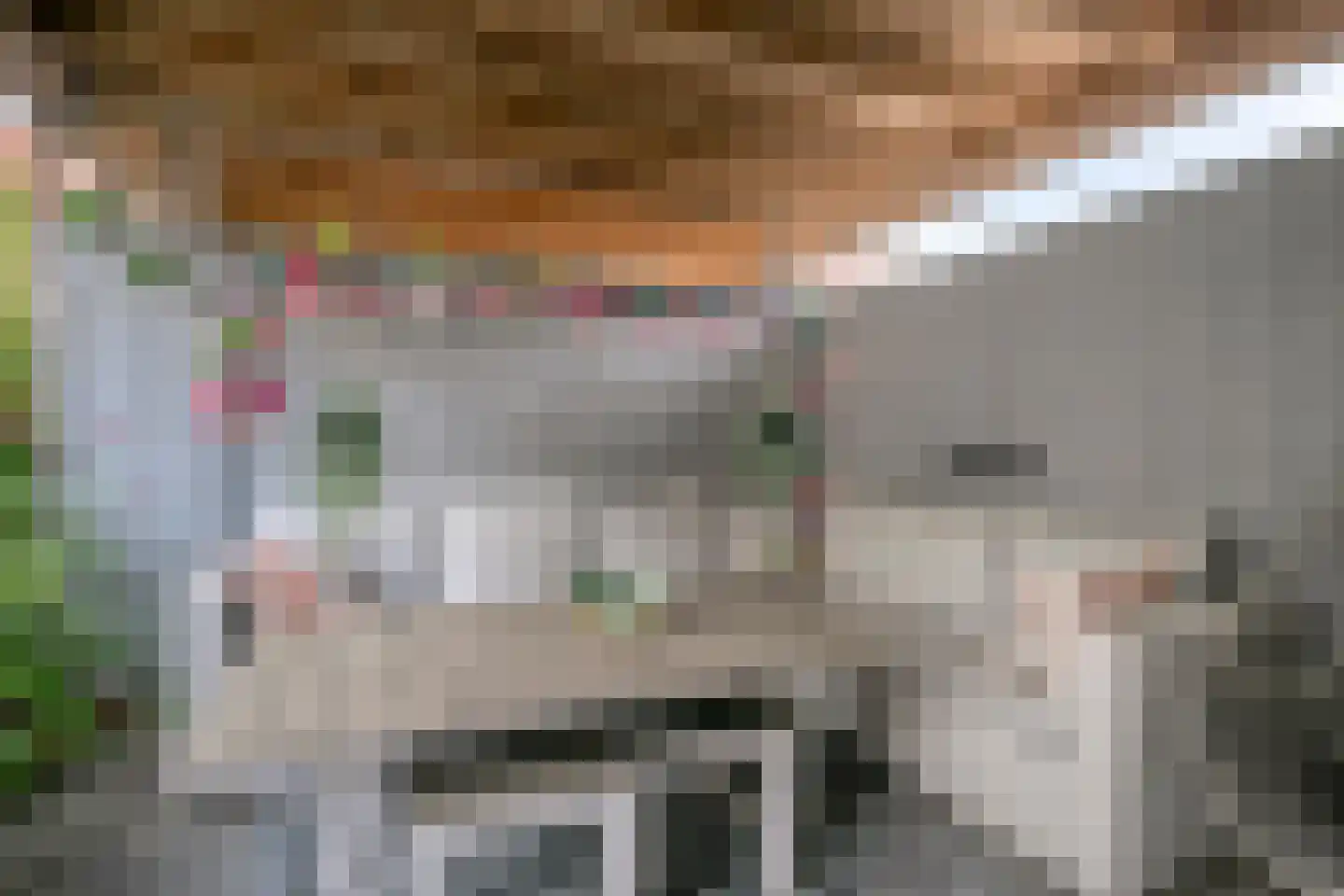Twickel 9 Zeewolde thumbnail 41