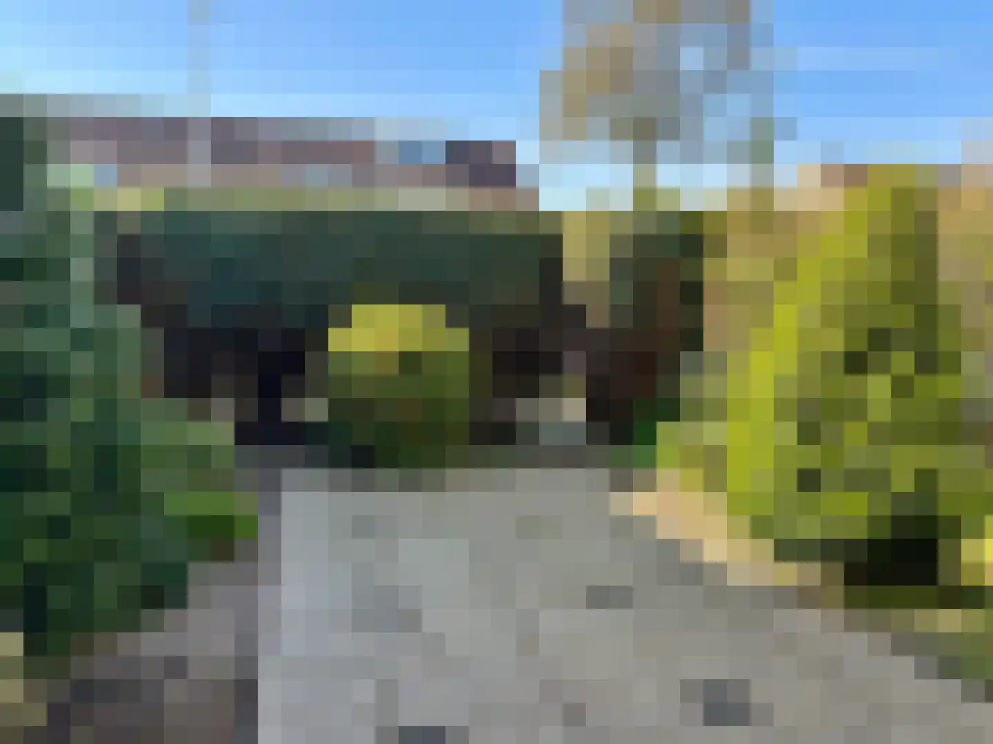 Twickel 91 Almelo thumbnail 20