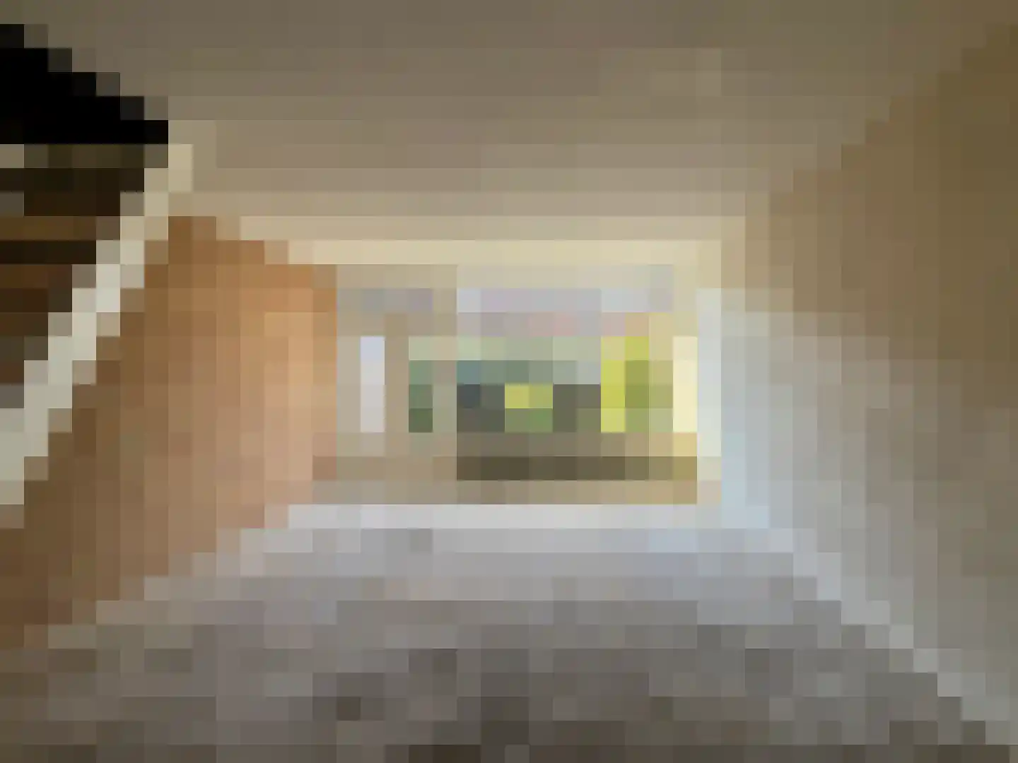 Twickel 91 Almelo thumbnail 5