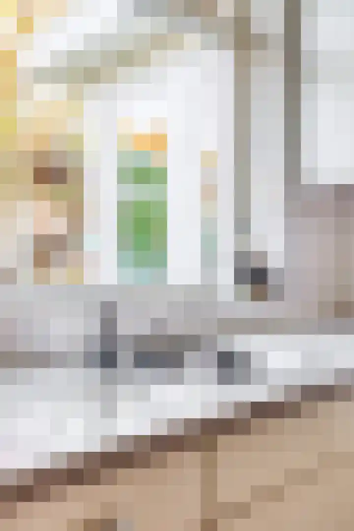 Twickeldreef 18 Helmond thumbnail 26