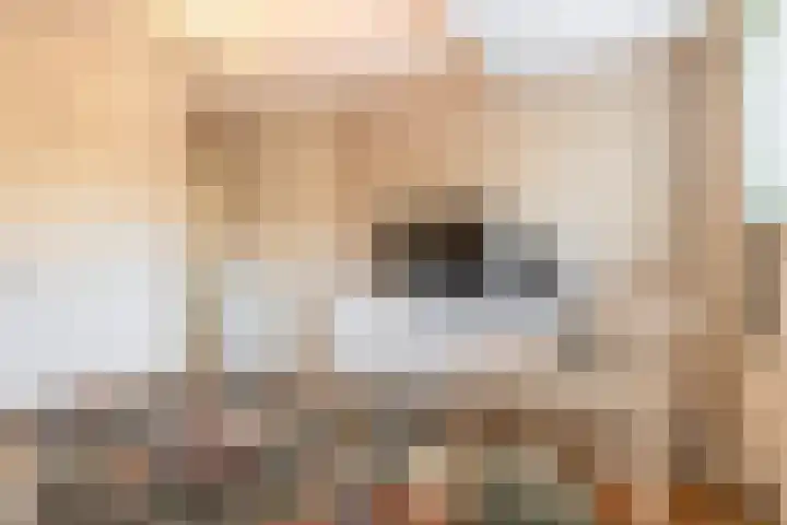 Twickeldreef 18 Helmond thumbnail 32