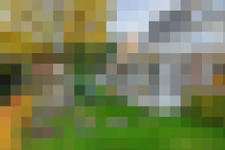 Twickeldreef 18 Helmond thumbnail 52