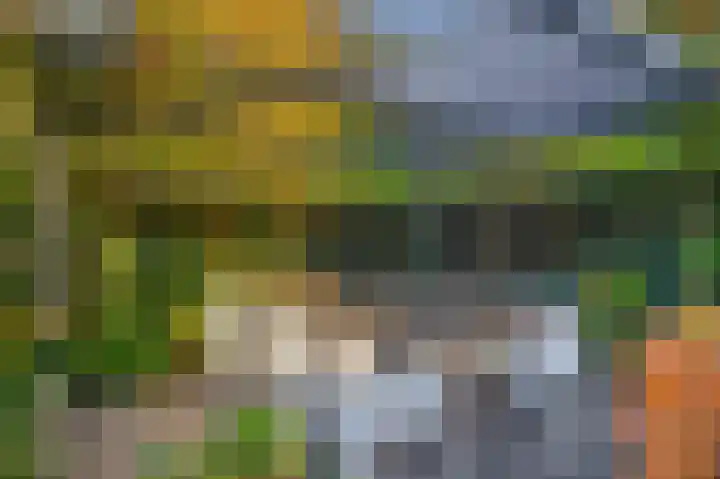 Twickeldreef 18 Helmond thumbnail 56