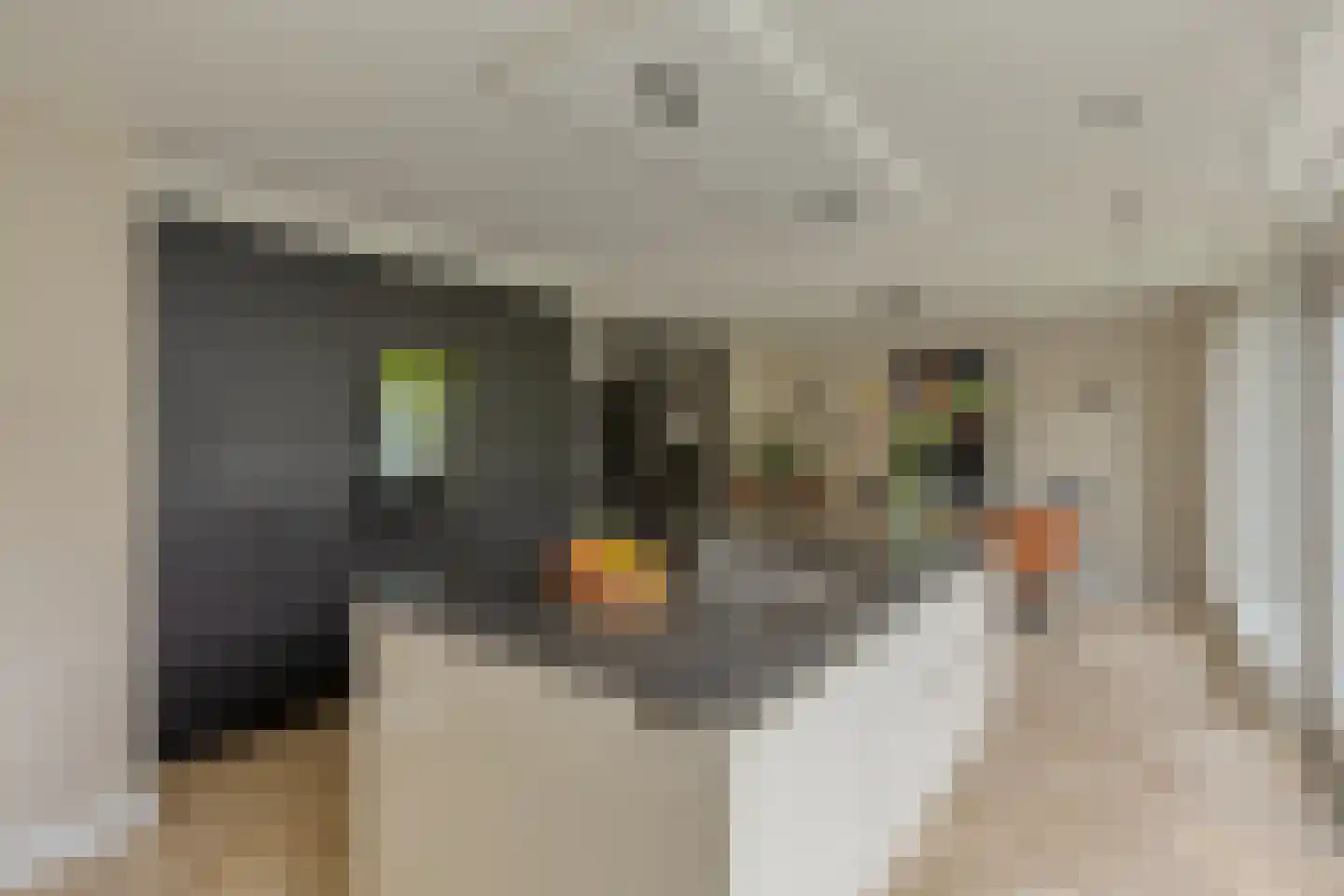 Twickeldreef 4 Helmond thumbnail 14