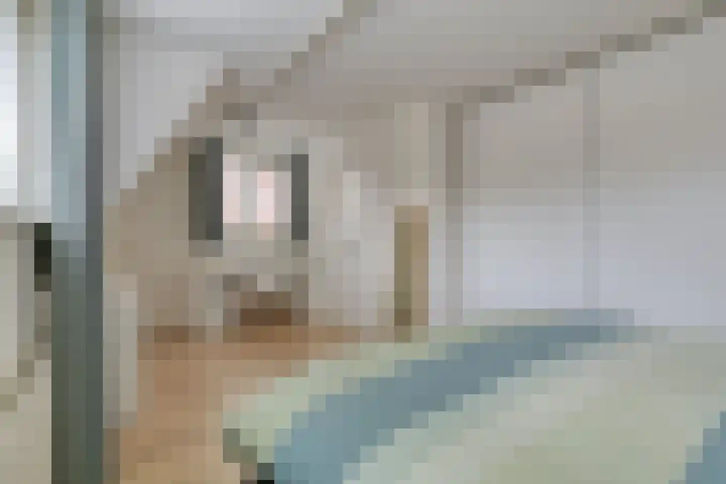 Twickeldreef 4 Helmond thumbnail 28