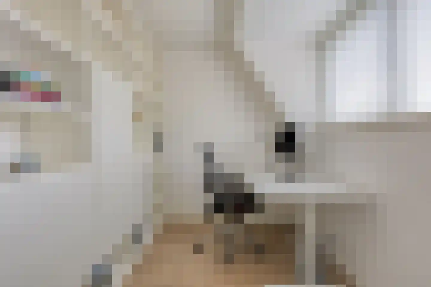 Twickeldreef 4 Helmond thumbnail 38