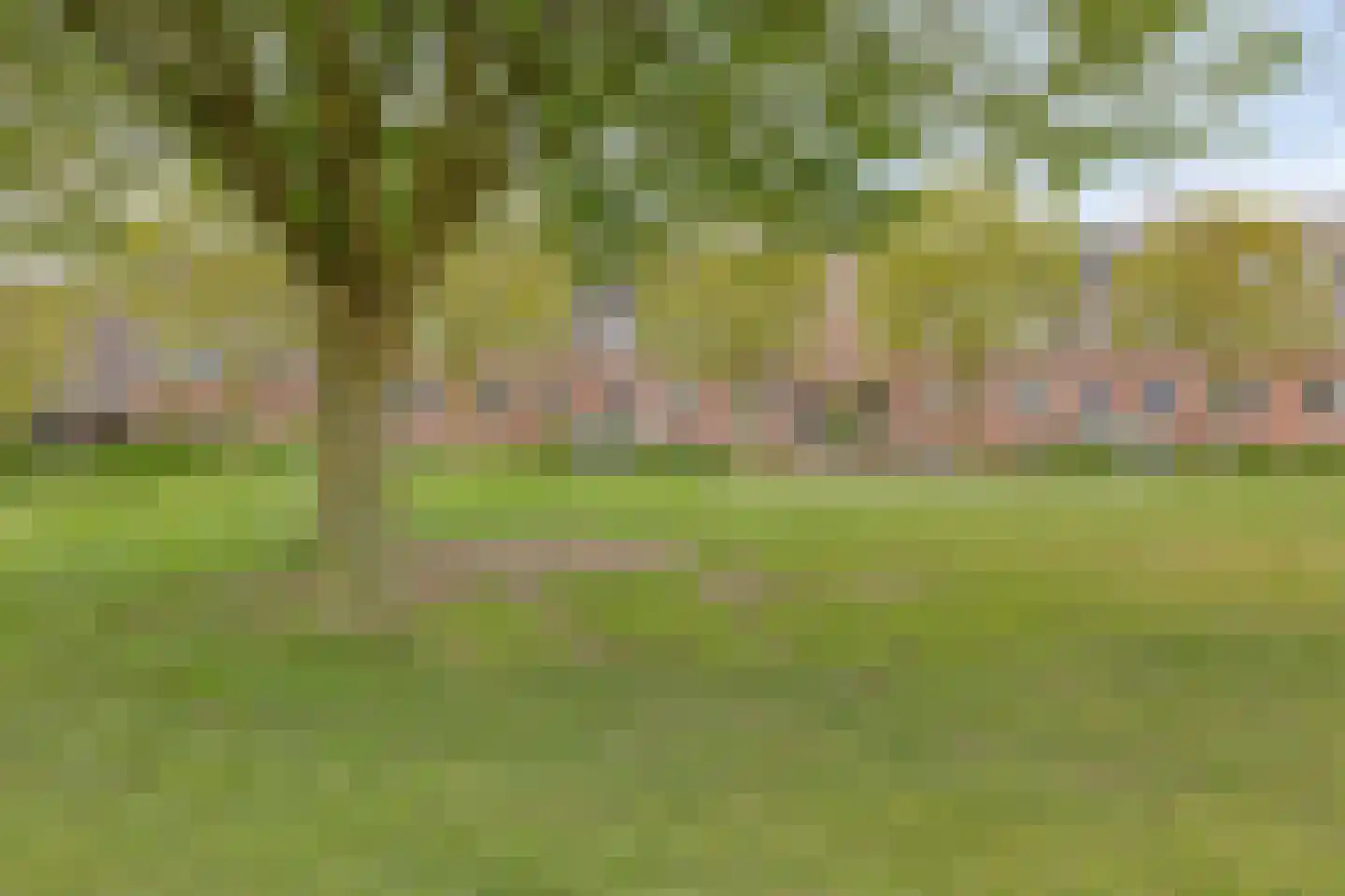 Twickeldreef 4 Helmond thumbnail 52