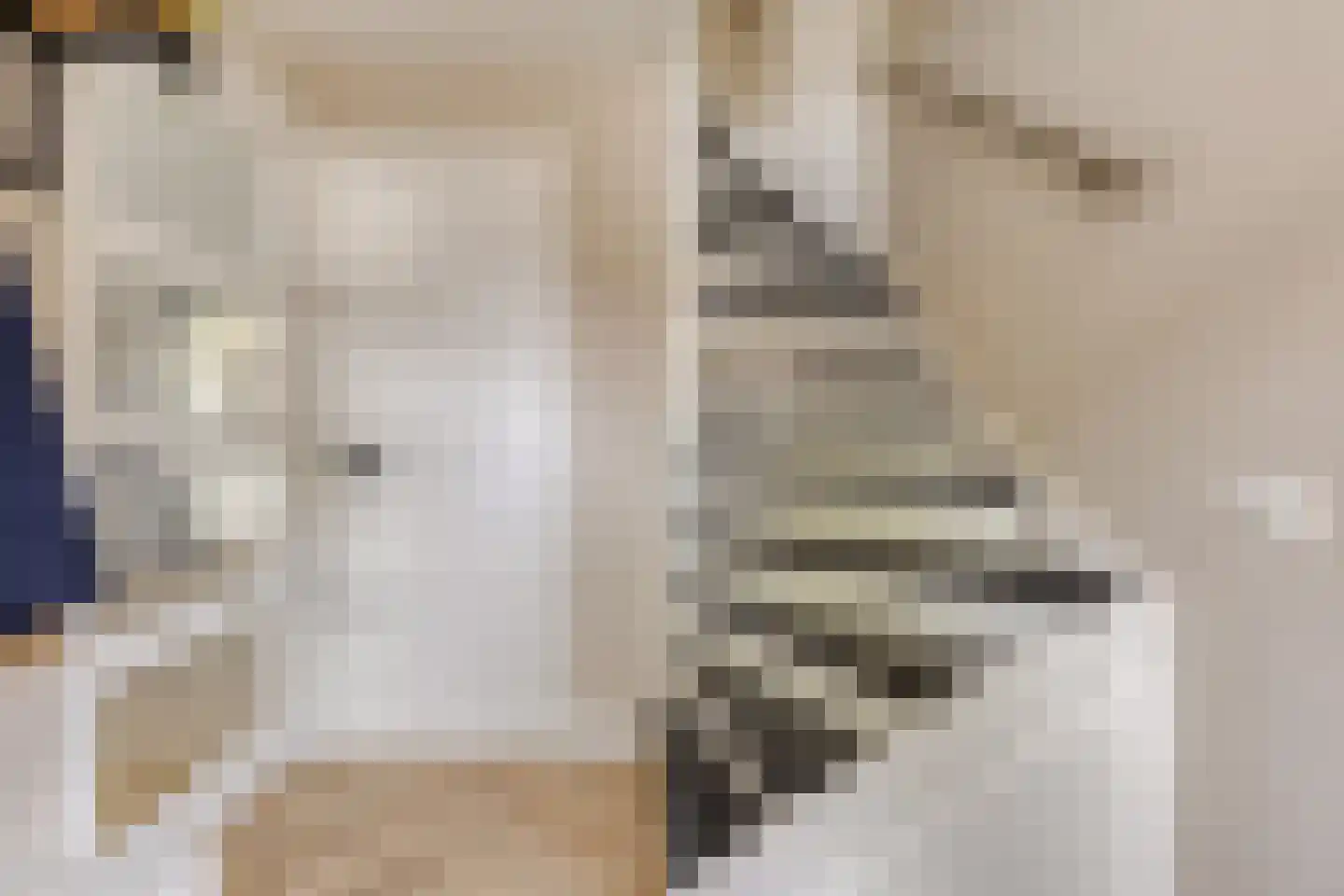 Twickeldreef 4 Helmond thumbnail 7