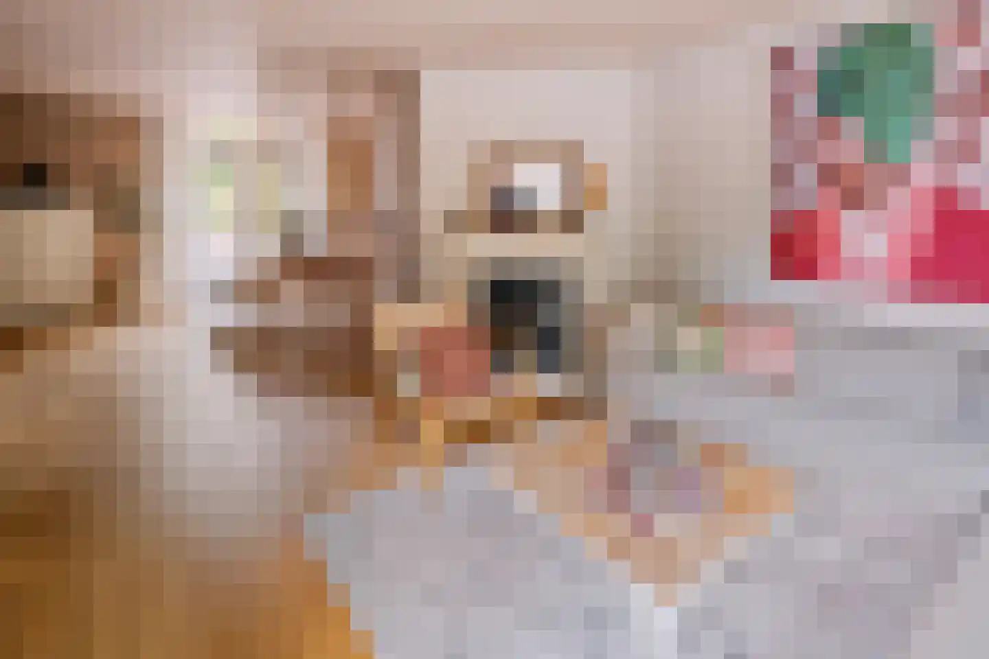 Twickeldreef 6 Helmond thumbnail 13