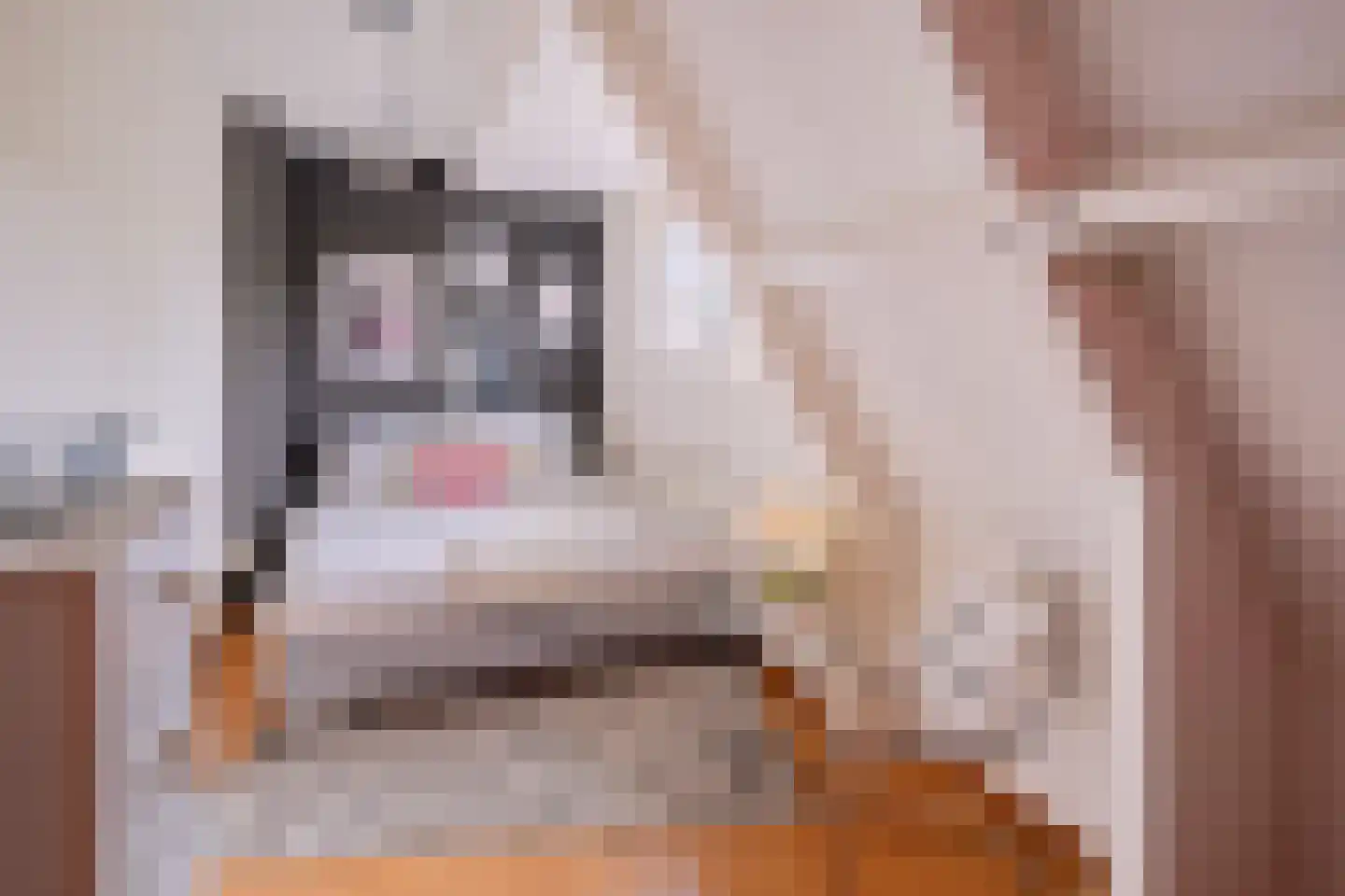 Twickeldreef 6 Helmond thumbnail 34