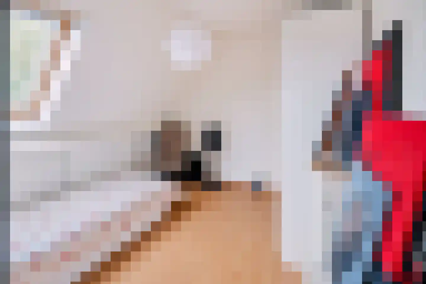 Twickeldreef 6 Helmond thumbnail 36