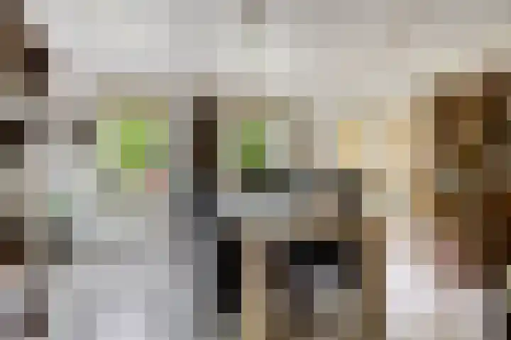 Twickelerweg 13 Ambt Delden thumbnail 11
