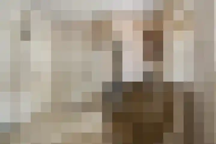 Twickelerweg 13 Ambt Delden thumbnail 22