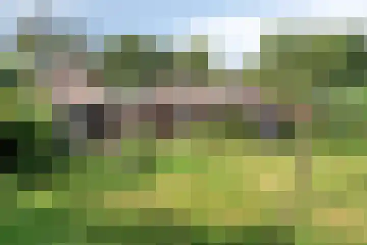 Twickelerweg 13 Ambt Delden thumbnail 30
