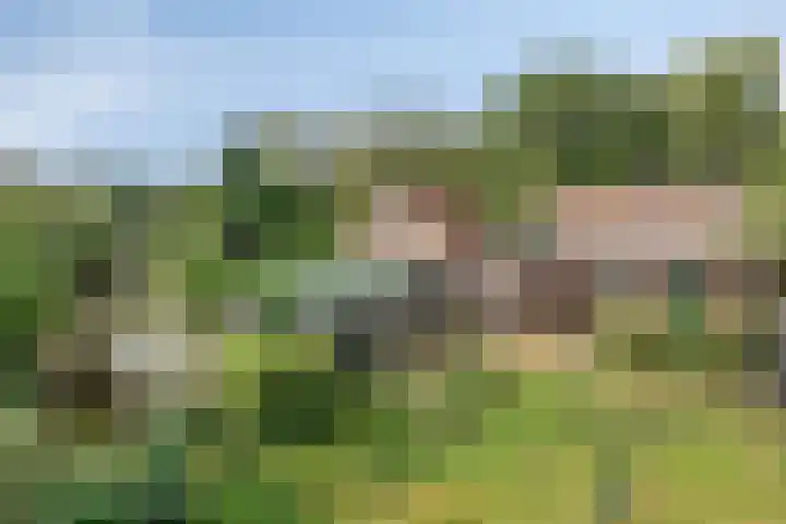 Twickelerweg 13 Ambt Delden thumbnail 32