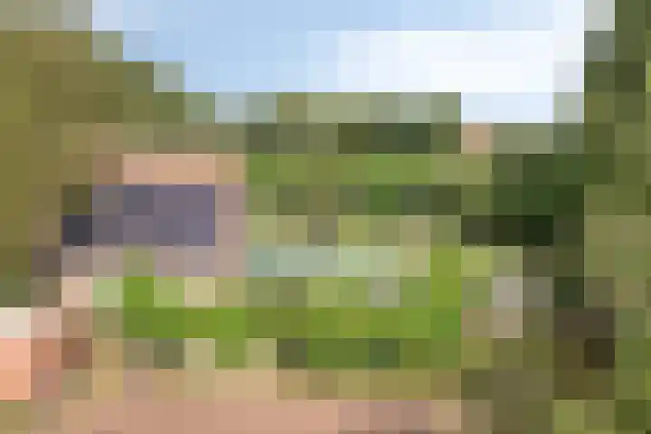Twickelerweg 13 Ambt Delden thumbnail 33