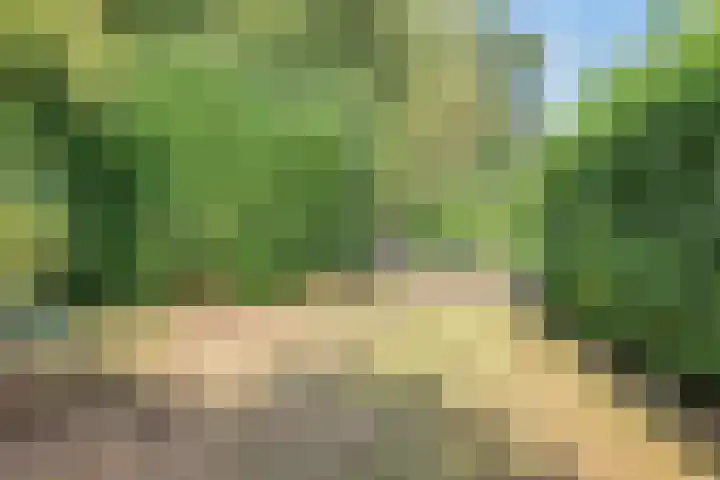 Twickelerweg 13 Ambt Delden thumbnail 35