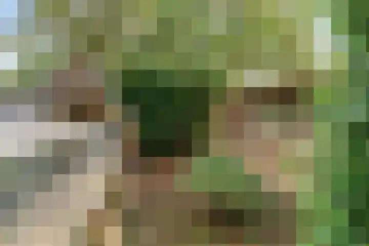 Twickelerweg 13 Ambt Delden thumbnail 36