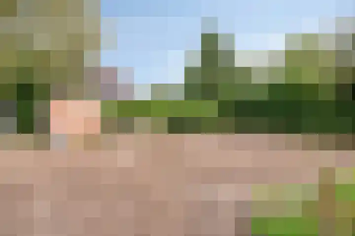 Twickelerweg 13 Ambt Delden thumbnail 37