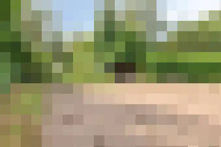 Twickelerweg 13 Ambt Delden thumbnail 38