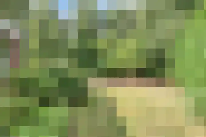 Twickelerweg 13 Ambt Delden thumbnail 39