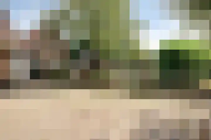 Twickelerweg 13 Ambt Delden thumbnail 6
