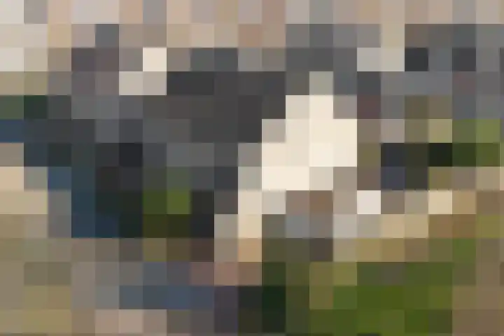 Twickellaan 140 Almere thumbnail 5