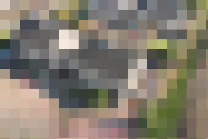Twickellaan 140 Almere thumbnail 52