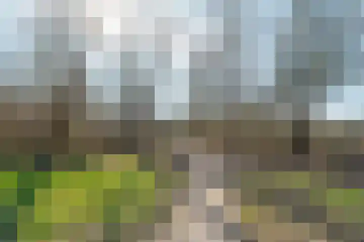 Twickellaan 140 Almere thumbnail 53