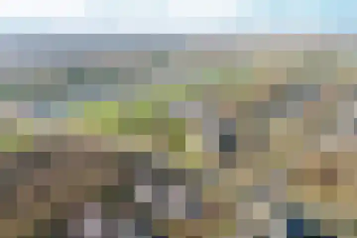 Twickellaan 140 Almere thumbnail 54