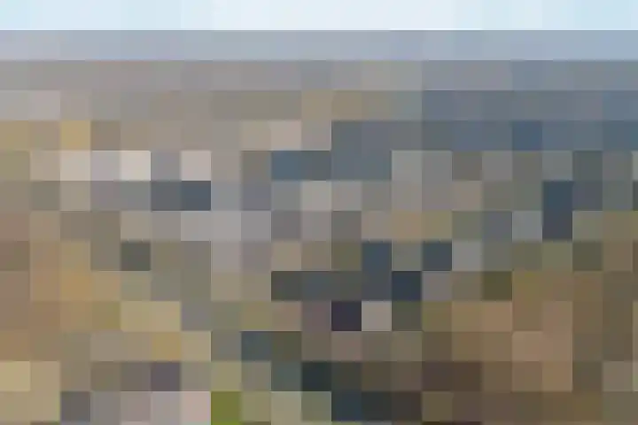 Twickellaan 140 Almere thumbnail 55