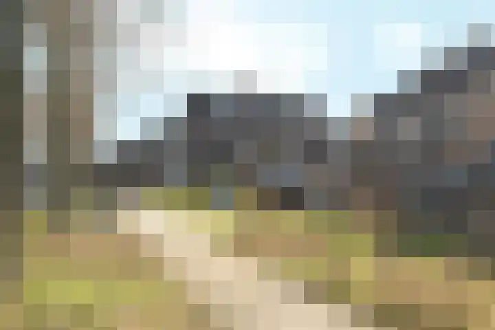 Twickellaan 140 Almere thumbnail 58