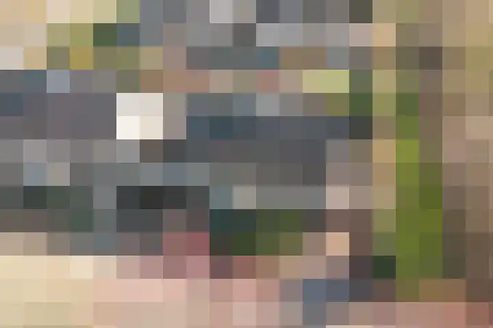 Twickellaan 140 Almere thumbnail 6