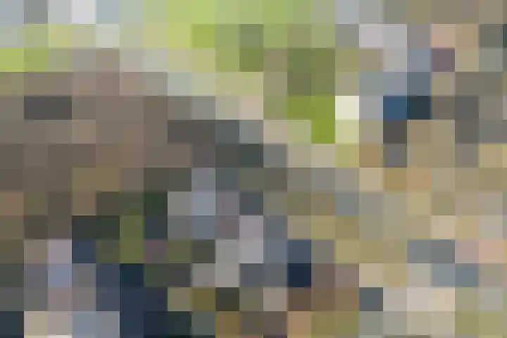 Twickellaan 140 Almere thumbnail 8