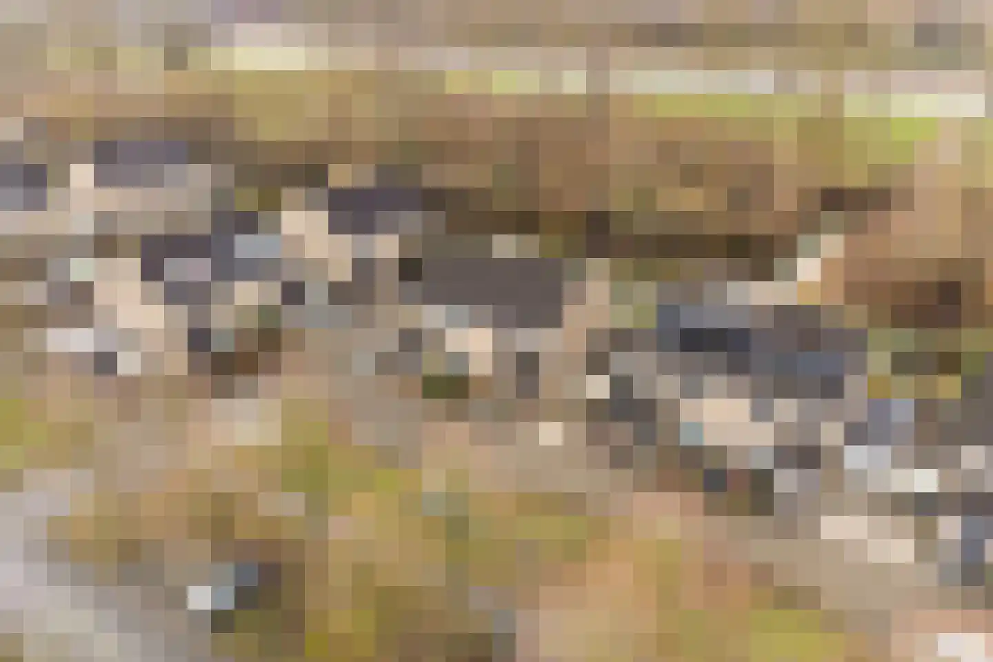 Twickellaan 164 Almere thumbnail 45