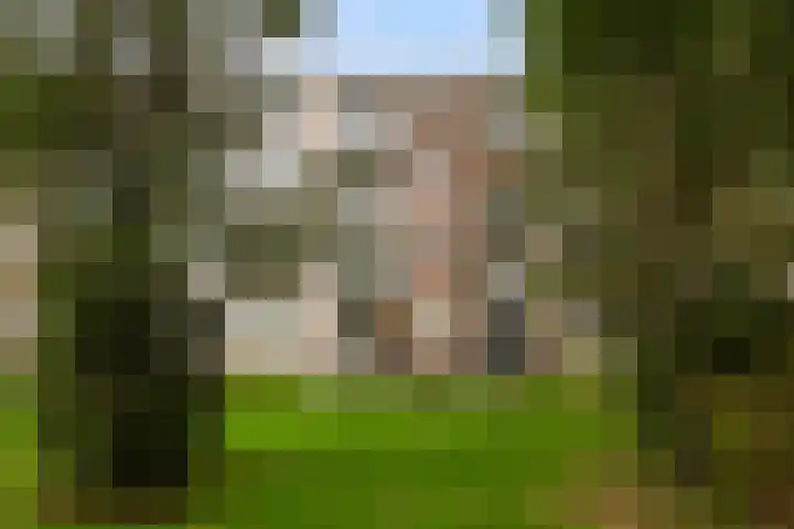 Twickelstraat 23 Wassenaar thumbnail 42