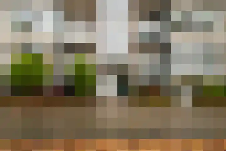 Twickelstraat 23 Wassenaar thumbnail 5