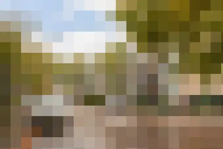 Twickelstraat 23 Wassenaar thumbnail 7