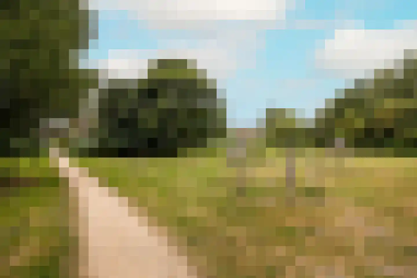 Twickelstraat 37 Wassenaar thumbnail 5