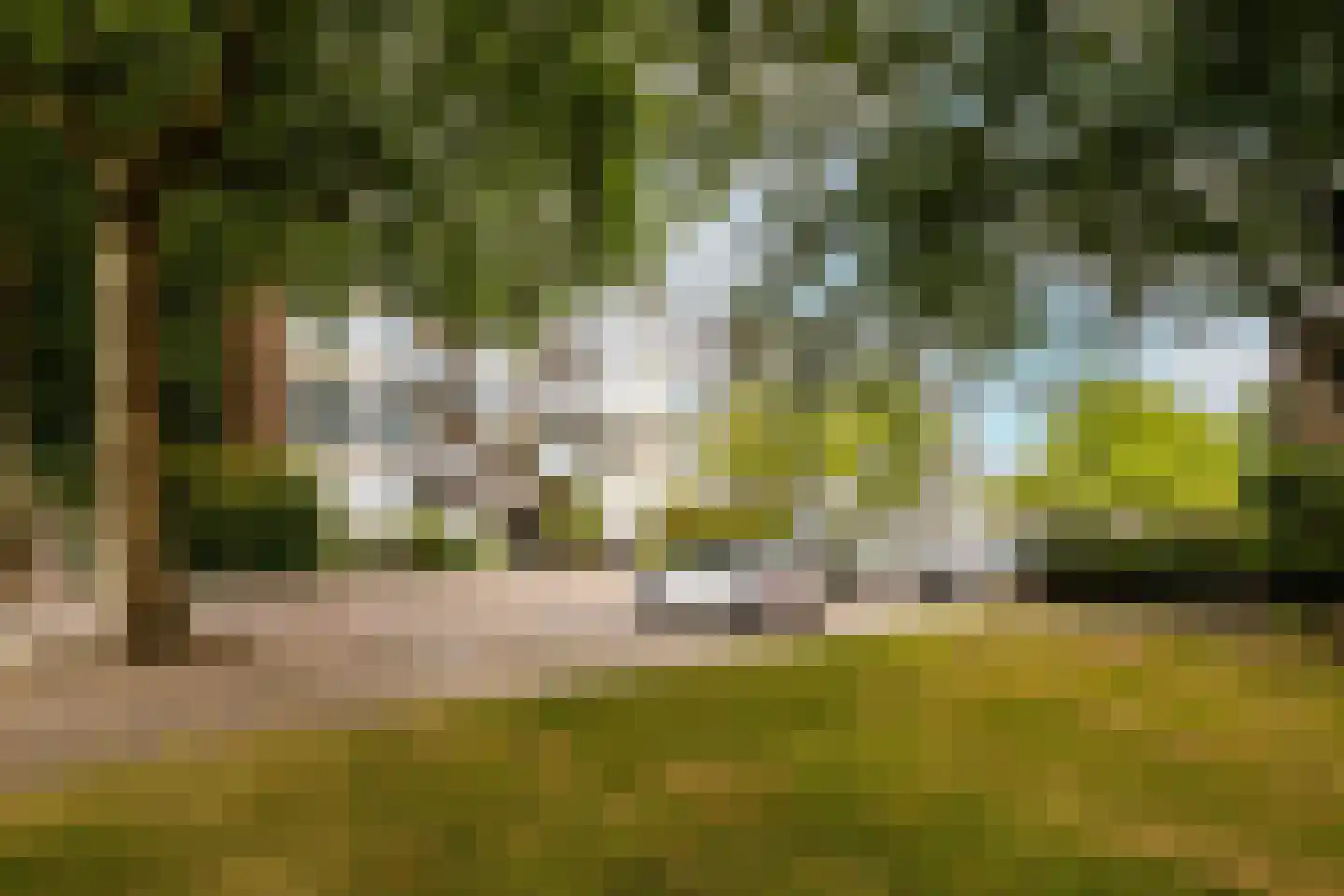 Twickelstraat 37 Wassenaar thumbnail 6
