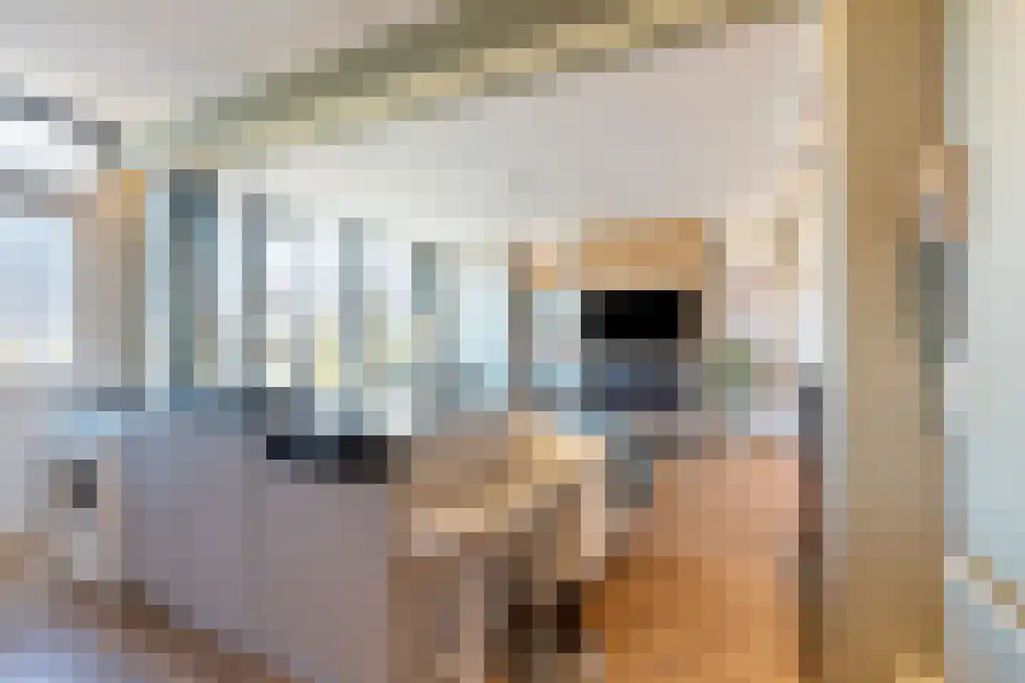 Twickelstraat 39 Wassenaar thumbnail 8